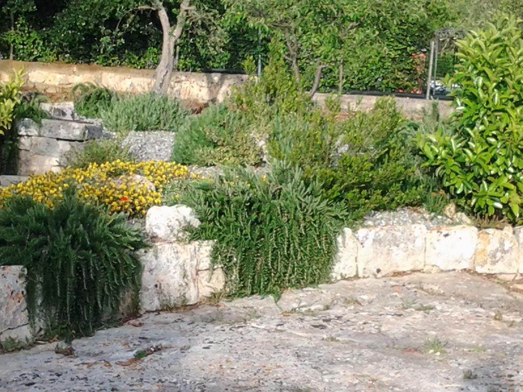 B&B Tenuta Ranieri Selva Di Fasano Bagian luar foto