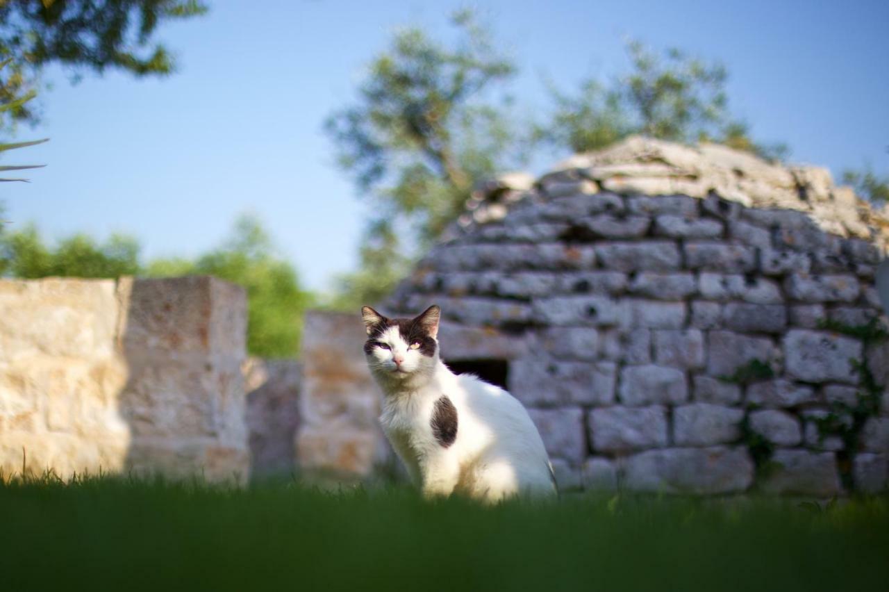 B&B Tenuta Ranieri Selva Di Fasano Bagian luar foto